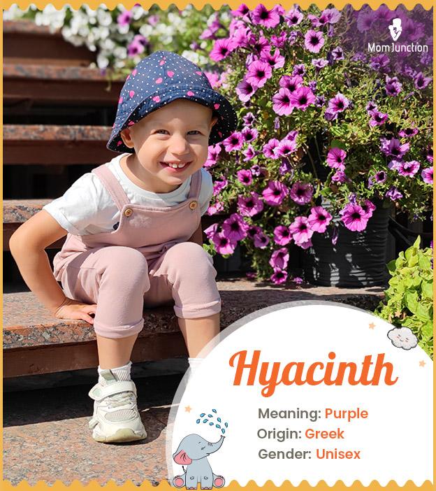 hyacinth Name Meaning, Origin, History, And Popularity