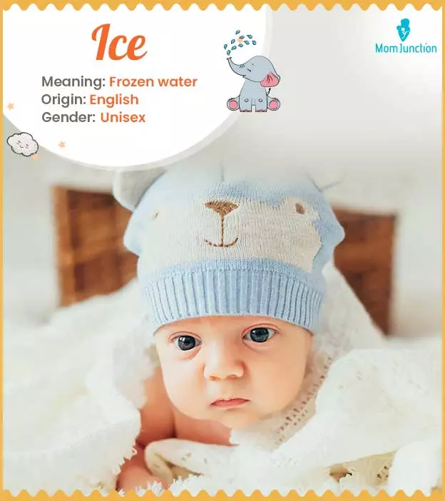 Ice Name Meaning, Origin, History, And Popularity