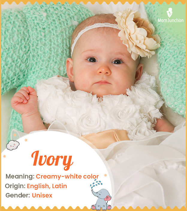 Ivory, a gender-neutral name defining purity