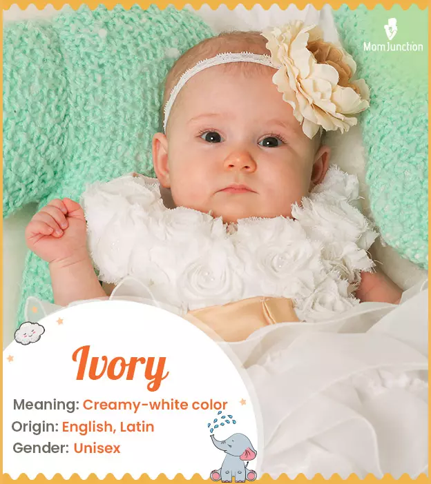 Ivory Name Meaning Origin, History And What You Need To Know