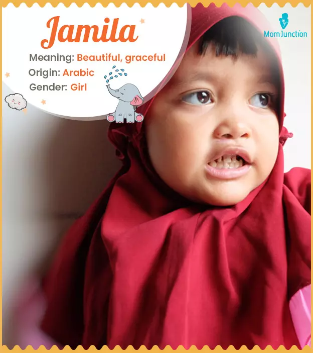 Jamila Name, Meaning, Origin, History, And Popularity
