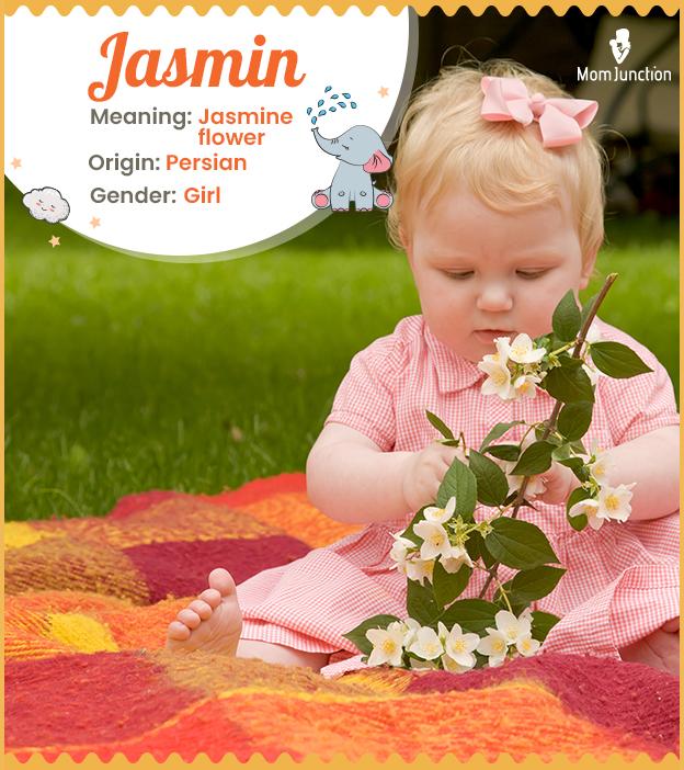 jasmin Name Meaning, Origin, History, And Popularity