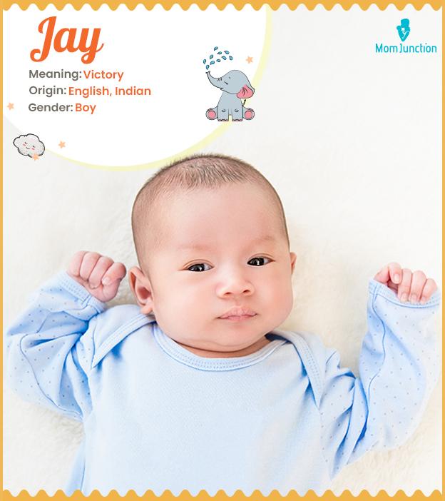 Jay Name, Meaning, Origin, History And Popularity