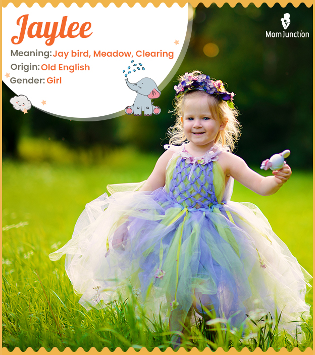 Jaylee means jaybird or meadow
