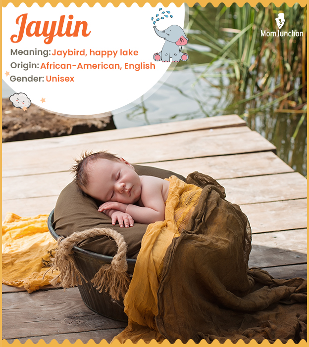 Jaylin, English name meaning jaybird