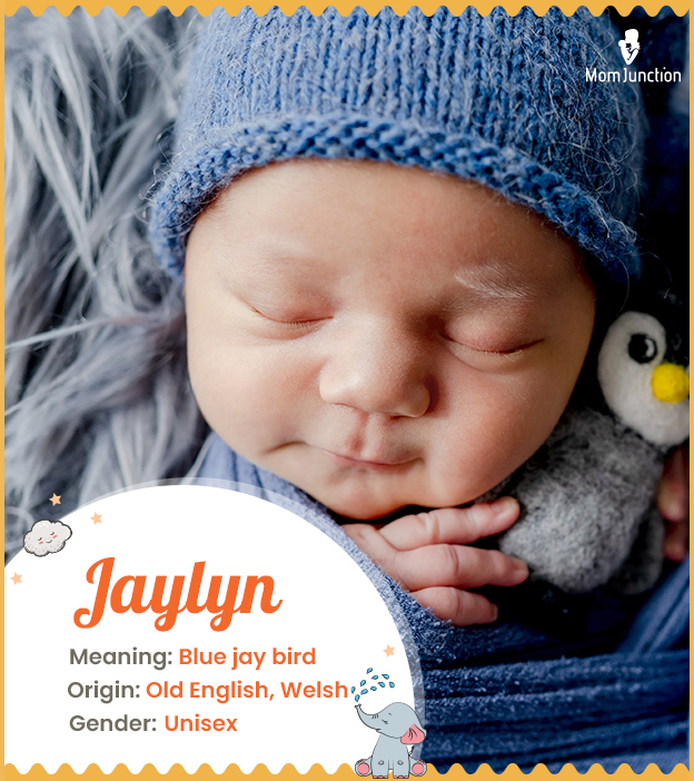Jaylyn, meaning jaybird or lake
