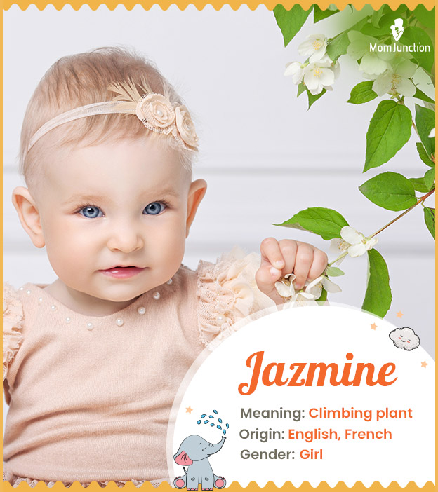 Jazmine, fragrant flowers that is used for making perfumes