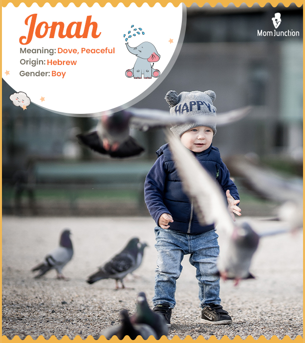 Jonah, means ove symbolizing peace and love