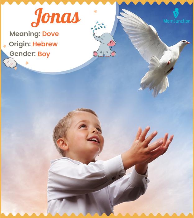 Jonas Name Meaning Origin History And Popularity MomJunction jonas-name-meaning-origin-history-and-popularity-momjunction