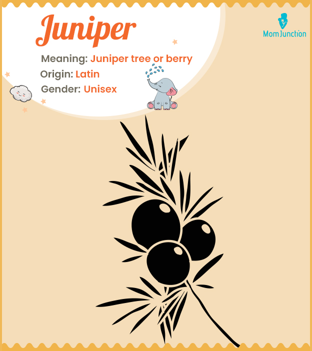 Juniper means Juniper tree or berry