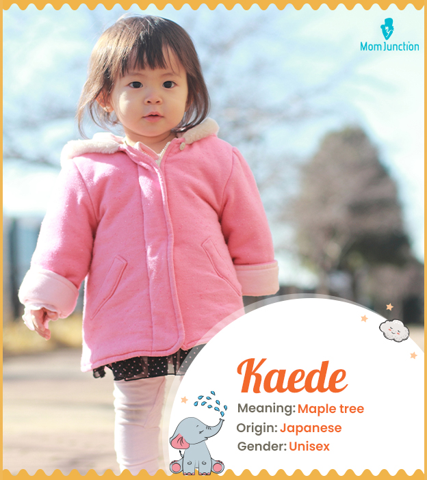 Kaede, a Japanese name for babies
