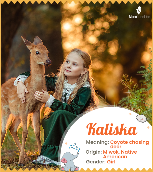 Kaliska means coyote chasing deer