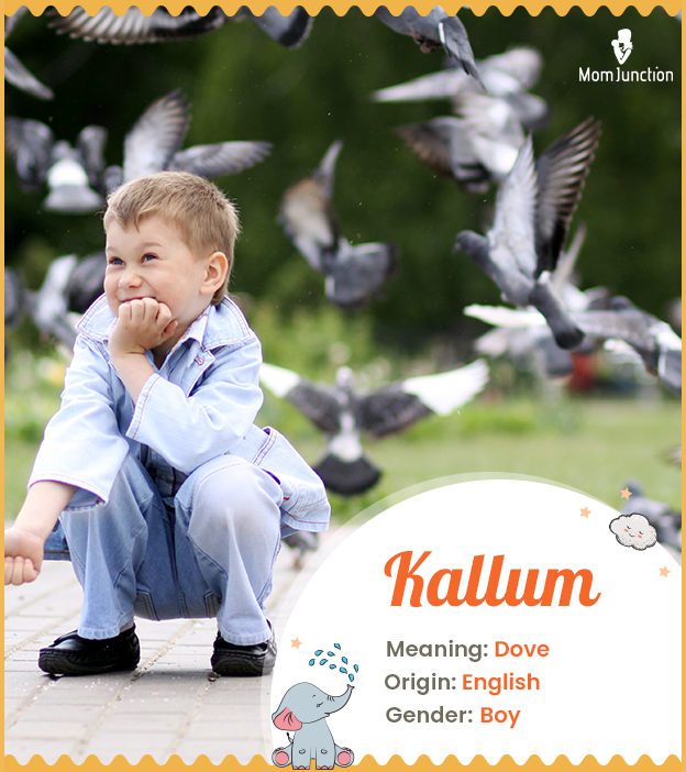 Kallum means dove