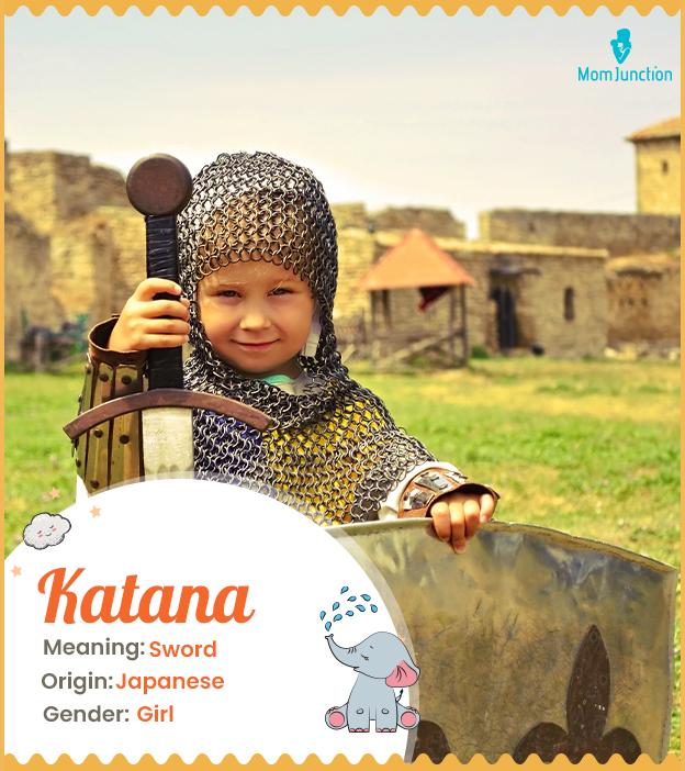 Katana Meaning, Origin, History, And Popularity