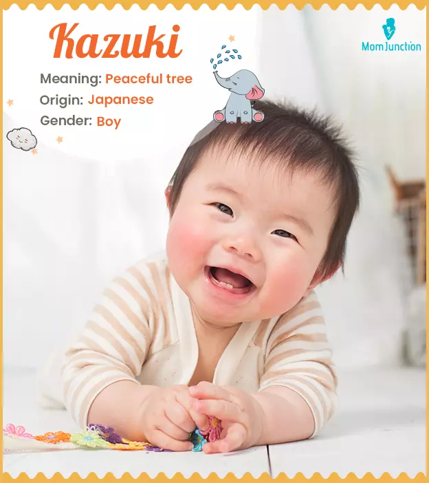 Hoshino - Name Meaning Origin And Popularity