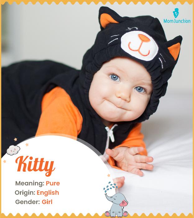 Explore Kitty Meaning, Origin & Popularity