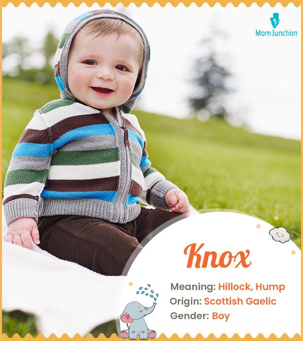 Knox, a Scottish cla