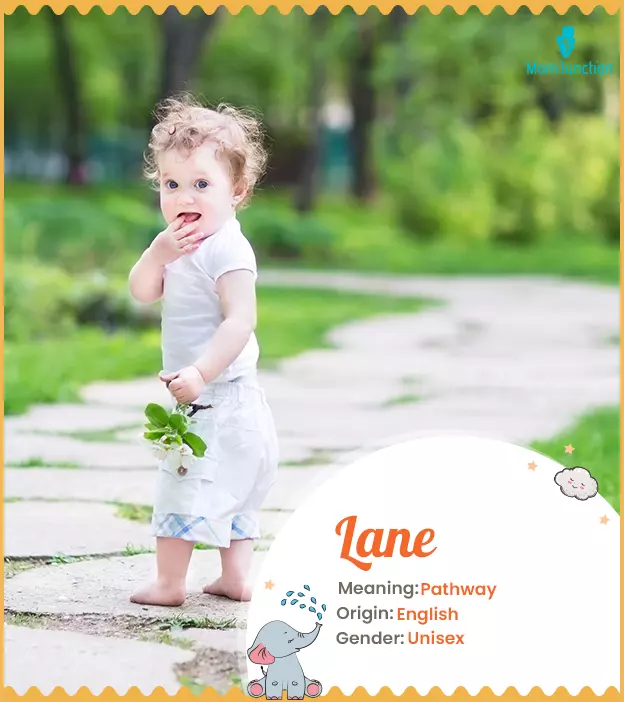 Lane Name Meaning, Origin, History, And Popularity