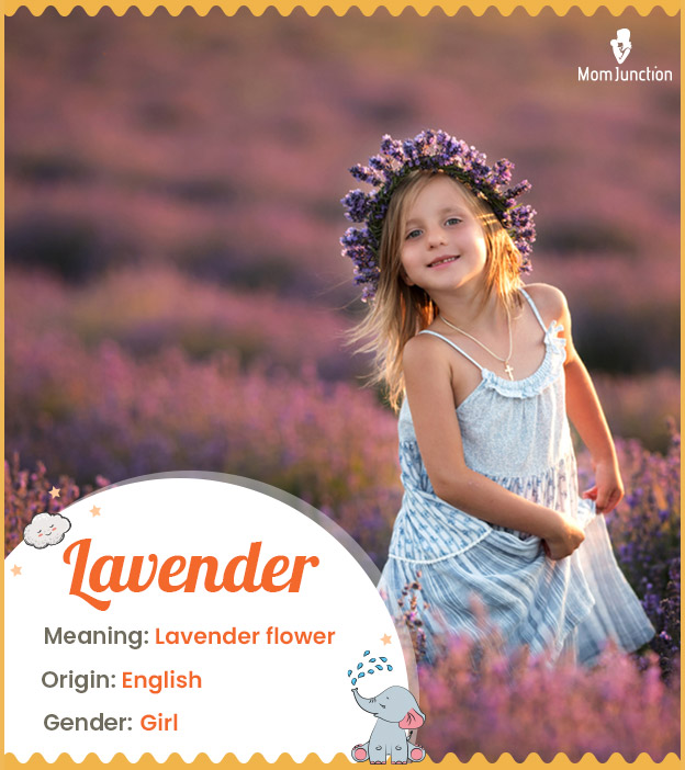 Lavender means lavender flower