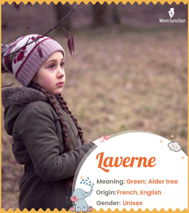 Explore Laverne Meaning, Origin & Popularity