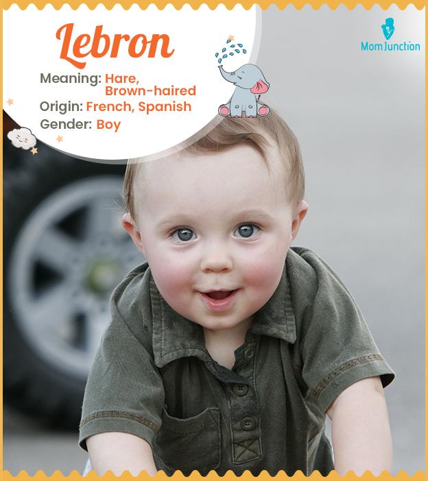 what are the new lebrons called