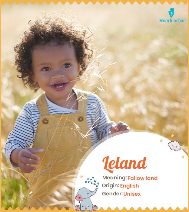 Leland Name Meaning, Origin, History, And Popularity