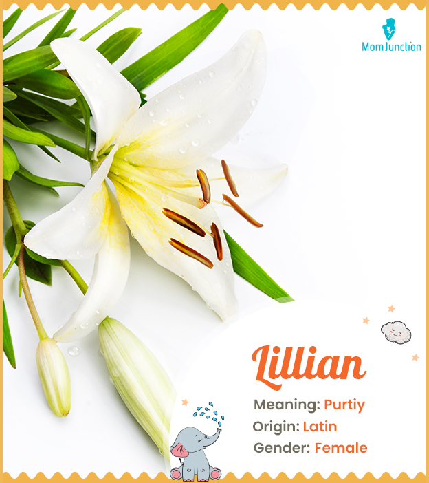 Lillian, a beautiful Latin name