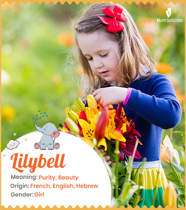 Lilybell meaning Purity, Beauty, God is my oath