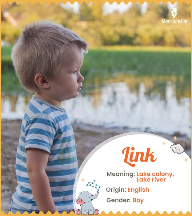 Explore Link Meaning, Origin & Popularity