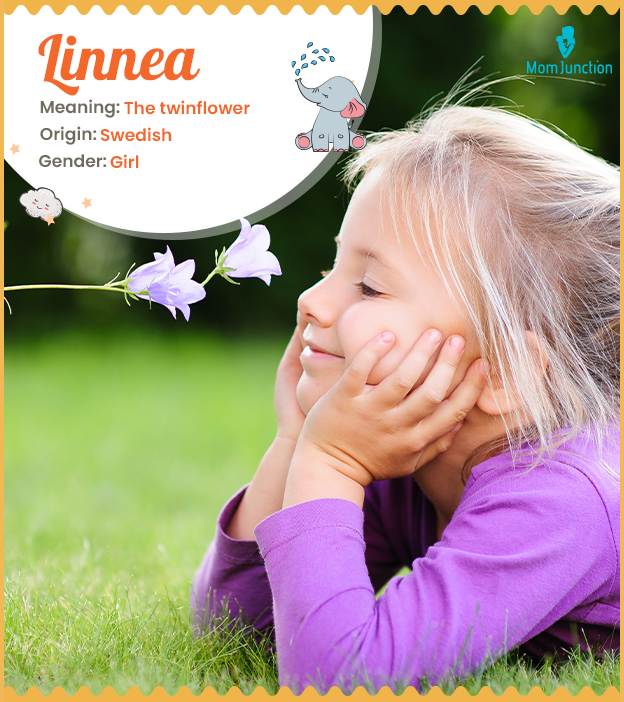 Linnea meaning the beautiful twinflower