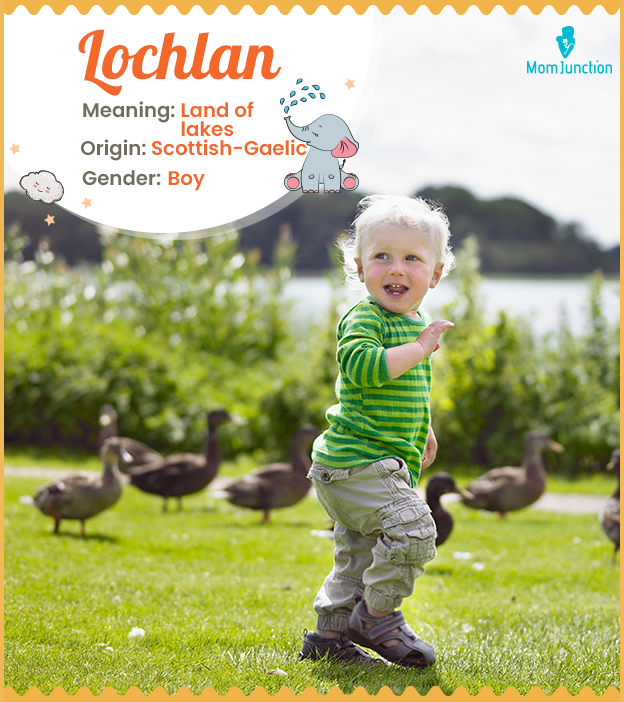Lochlan, one who is strong as a Viking