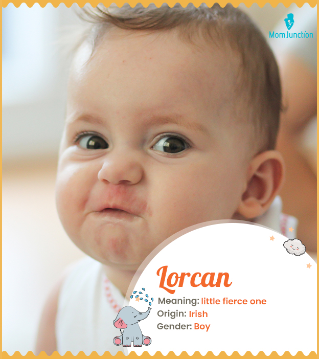Lorcan, the little fierce warrior