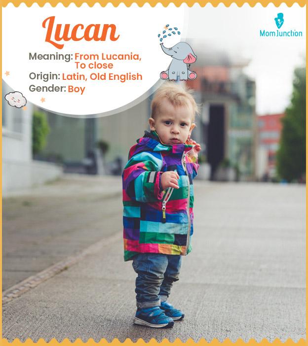 Lucan, bearer of lig