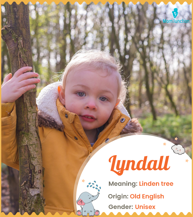 Lyndall means little lime tree