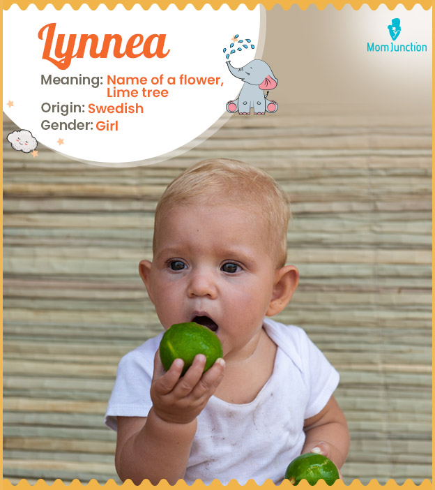 Lynnea means linden tree or the name of a flower