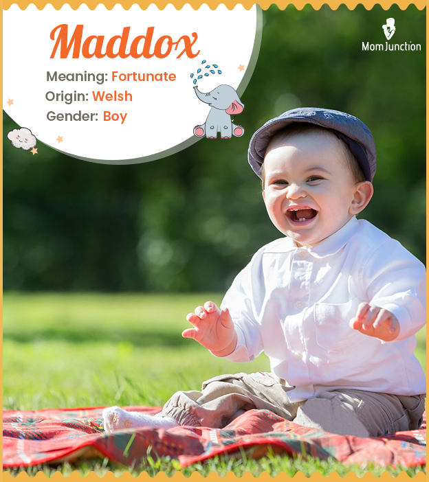 Maddox, a Welsh name