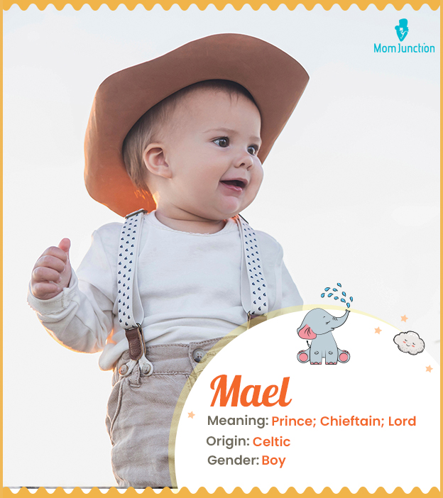 Mael means chieftain or lord