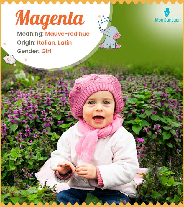 Magenta, meaning mauve-red hue