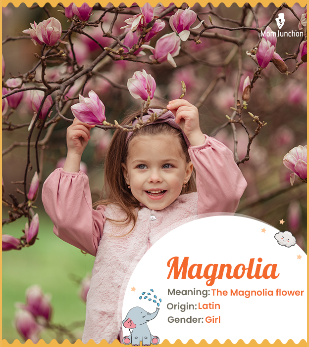 Magnolia, a name after the magnolia flower