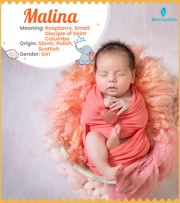 Malina means raspber