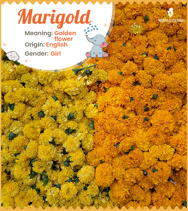 Marigold, derived from a flower name