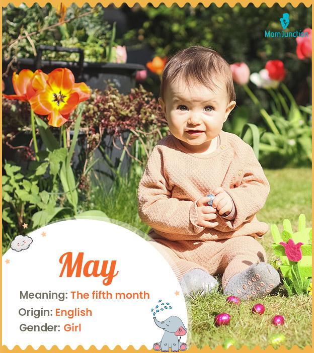 May Name Meaning Origin History And Popularity