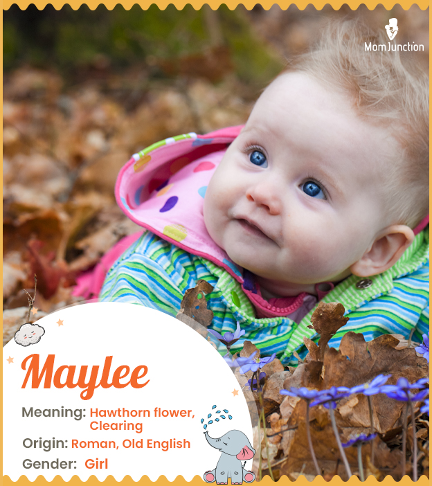 Maylee means hawthorn flower