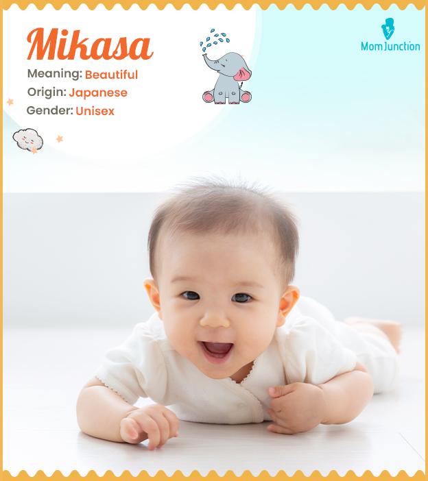 Mikasa Name Meaning, Origin, History, And Popularity