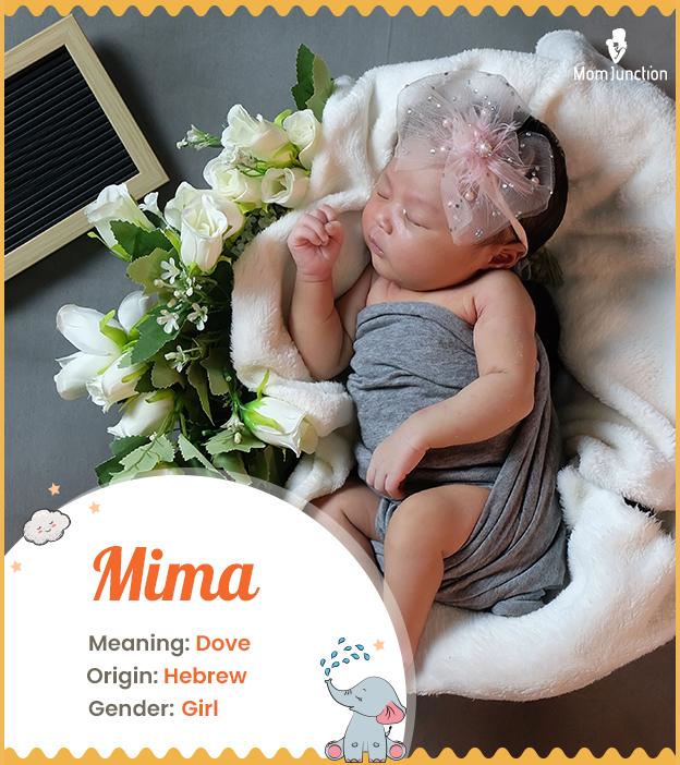 "Mima, a dove."