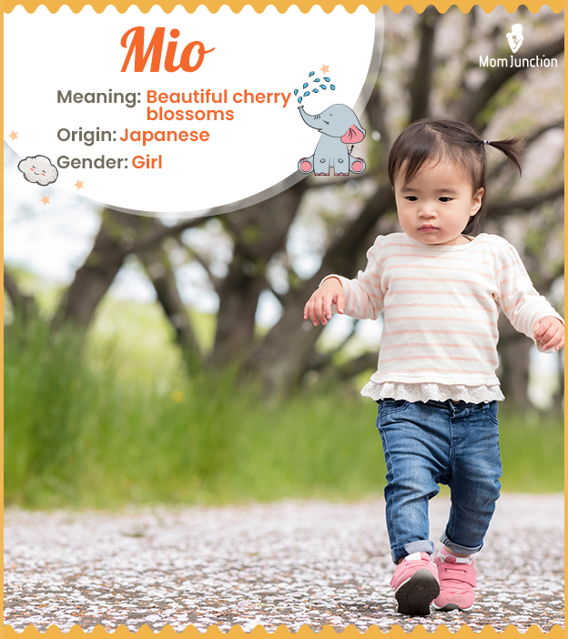 Mio means beautiful cherry blossoms