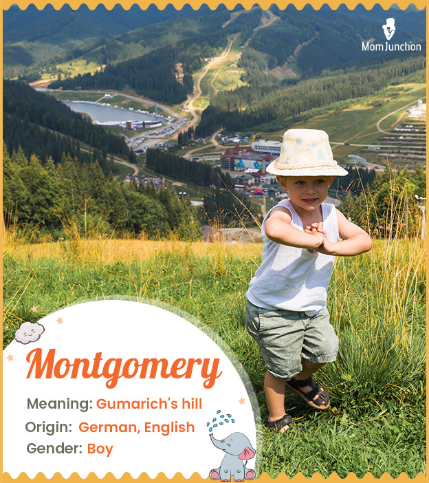Montgomery, meaning Gumarich