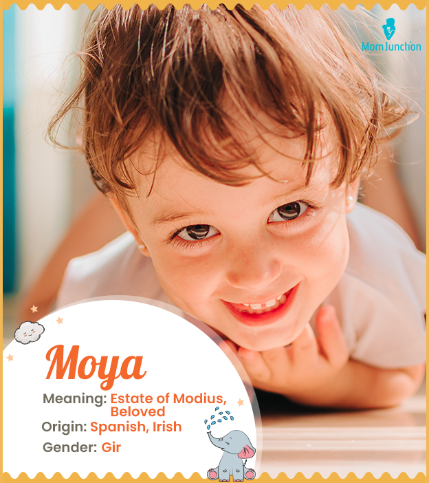 Moya meaning Estate of Modius