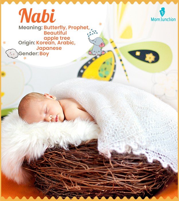 Nabi, means butterfly, prophet, or beautiful apple tree.