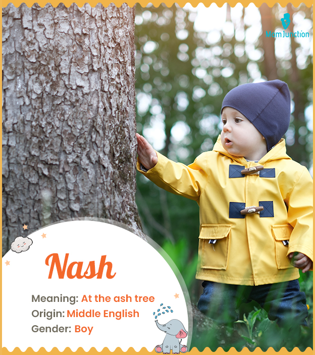 Nash, English name meaning at the ash tree